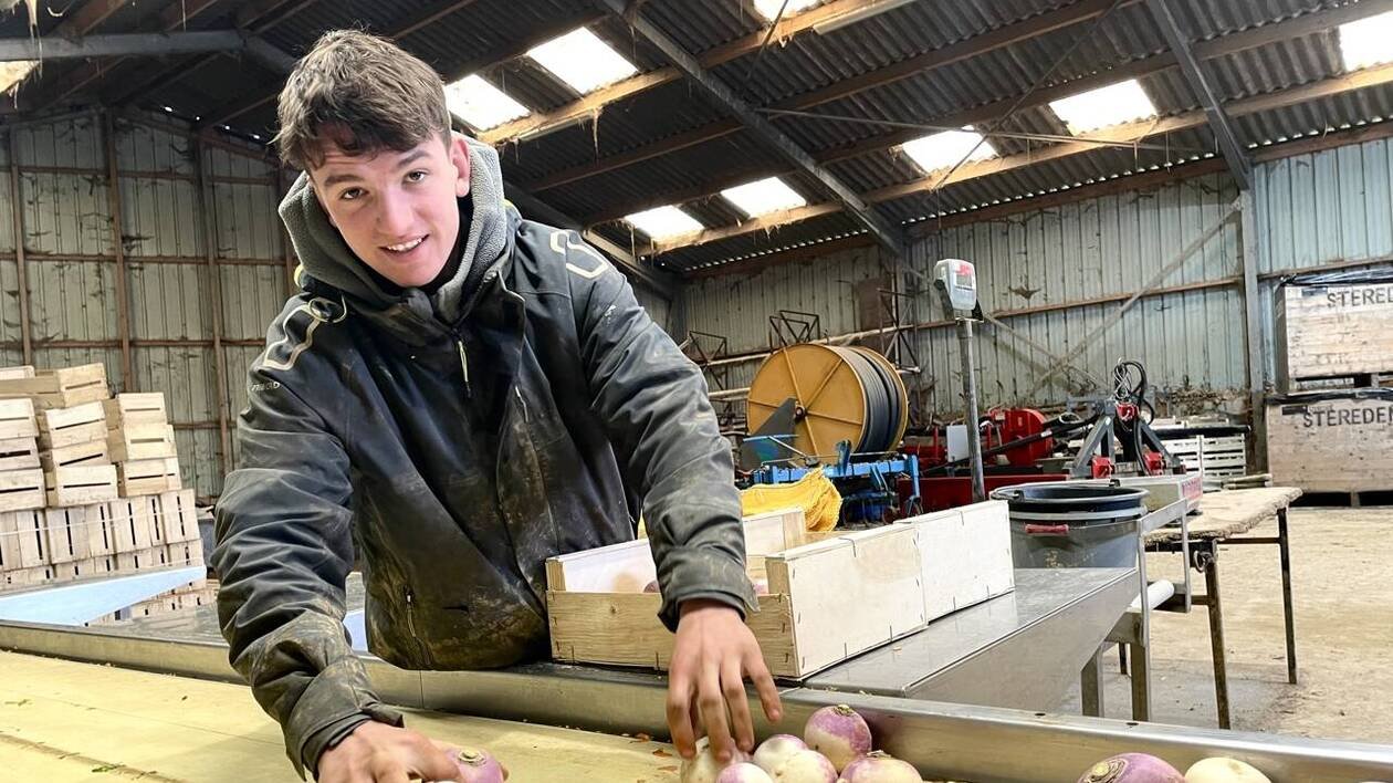 « Avec ce modèle, je sais où je vais » : à 21 ans, il reprend la ferme bio de son mentor en Bretagne