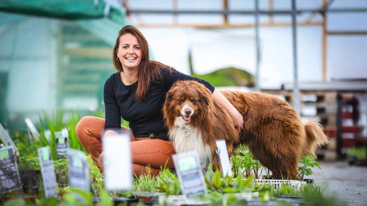 « Je préfère infusion pour éviter la référence à un truc de vieux » : la tisane est de retour
