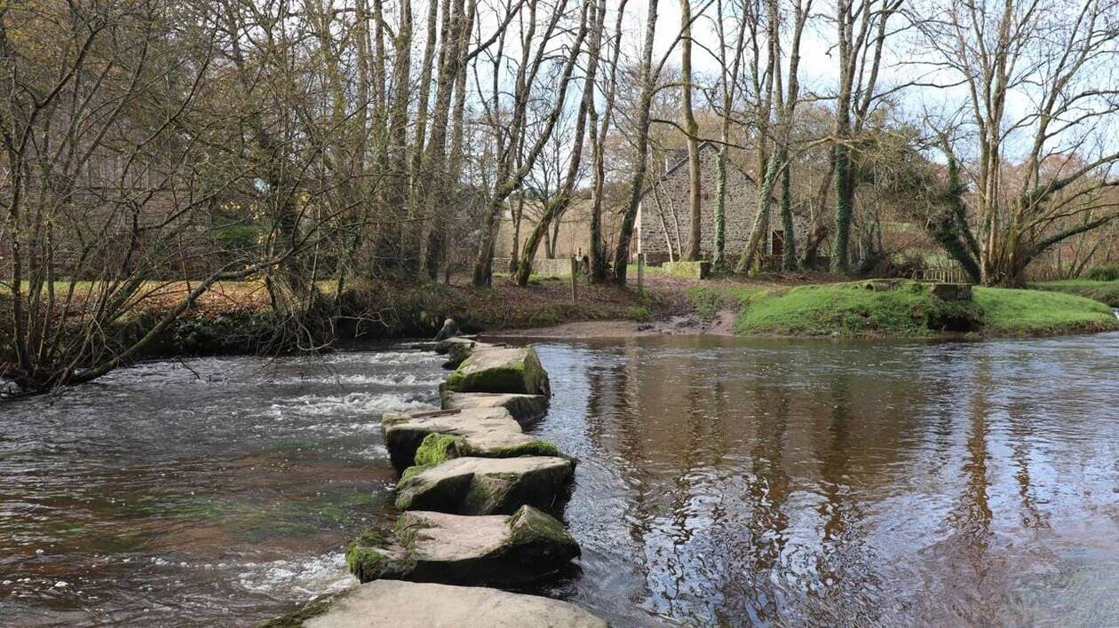 Pesticides, nitrates… Les cours d’eau toujours très pollués dans les Côtes-d’Armor