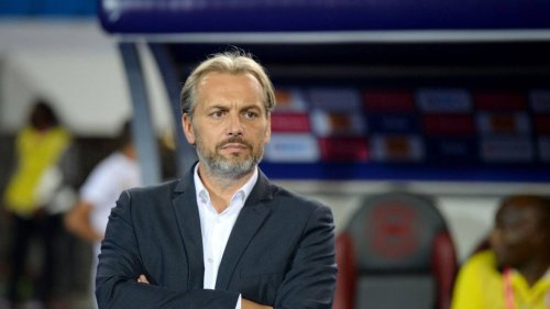 Ligue 2. Sébastien Desabre nommé sélectionneur du Congo, Niort dément avant d’affronter Bastia