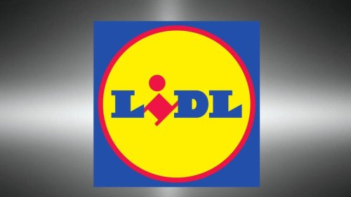 Même pas besoin de brancher ce projecteur solaire de jardin à moins de 10 euros chez Lidl