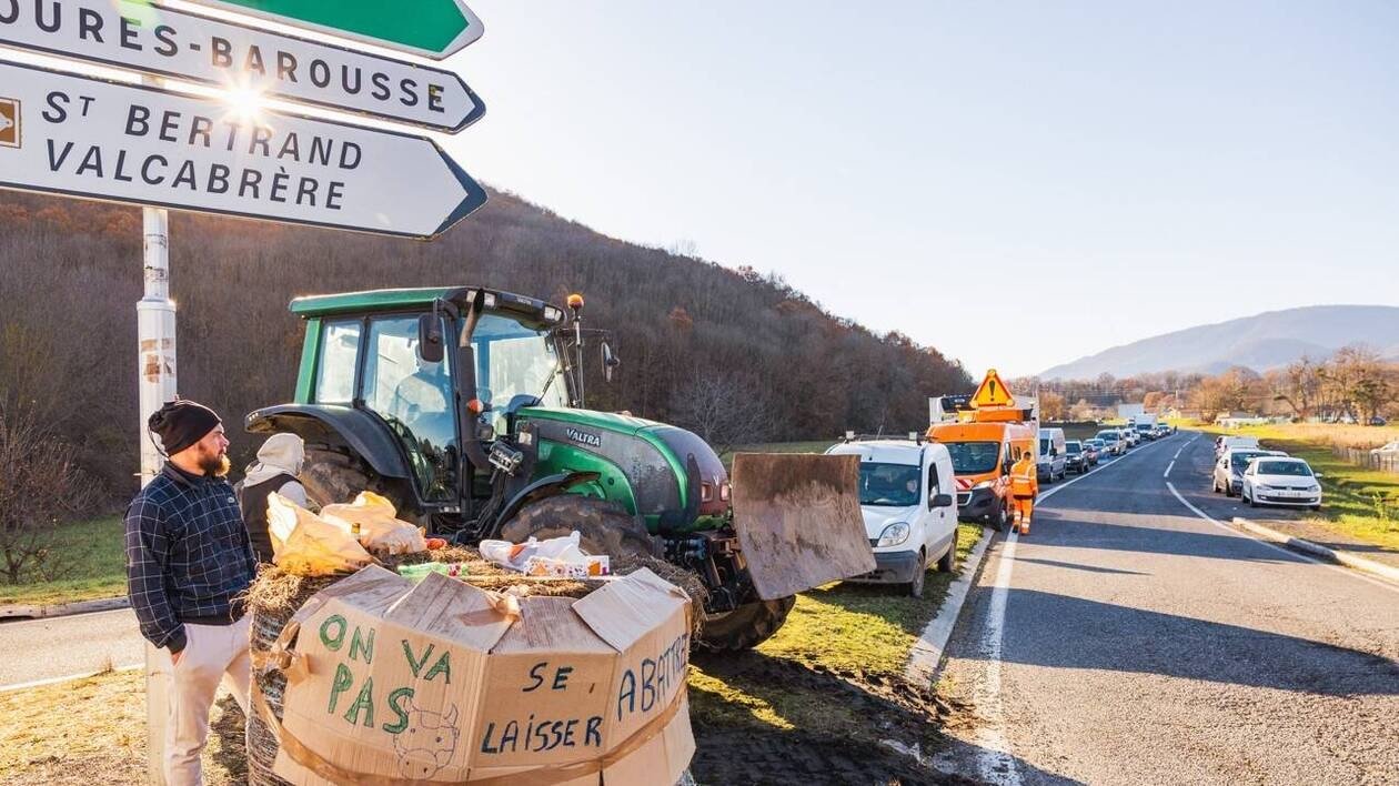 Une quarantaine de mobilisations dans le pays : la colère agricole s’étend sur fond de dermatose bovine