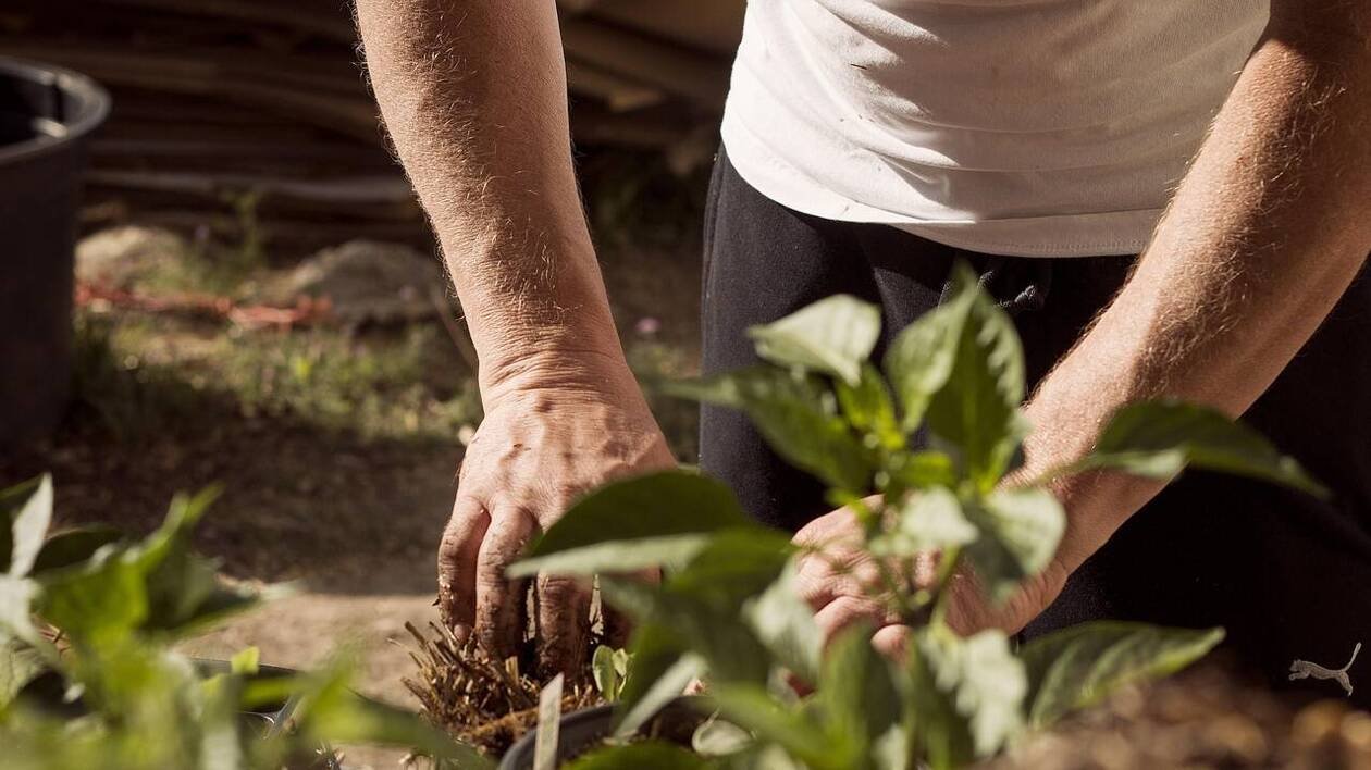 Traite d’êtres humains dans une exploitation agricole du Vaucluse : trois personnes en garde à vue