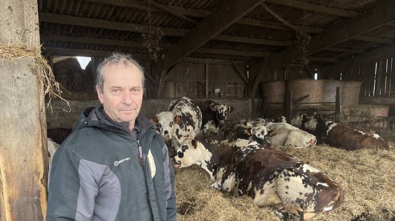 Fin 2023, cet éleveur normand était criblé de dettes : « Aujourd’hui, j’ai presque tout remboursé »
