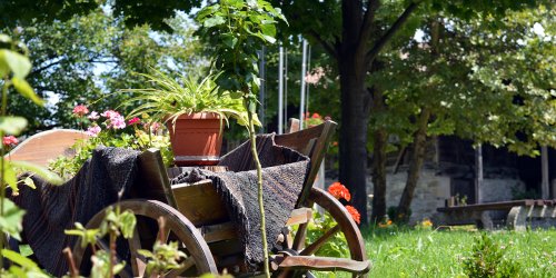 Un jardin sans entretien : 10 conseils de pro pour en faire le moins possible !
