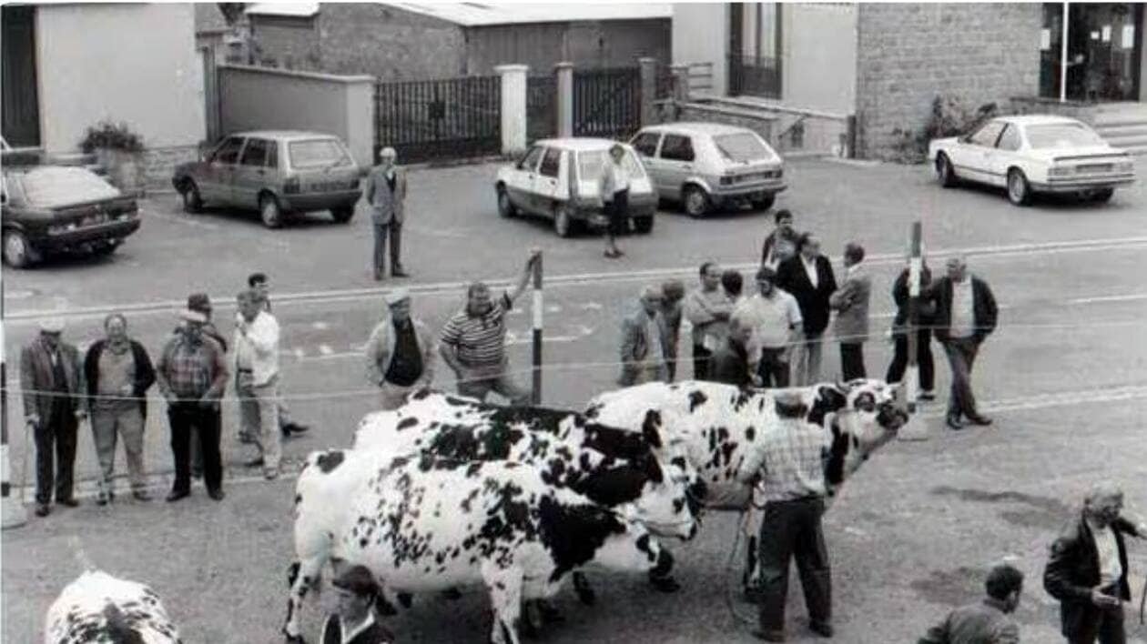 Comice agricole du canton de Canisy : retour sur 127 ans d’histoire