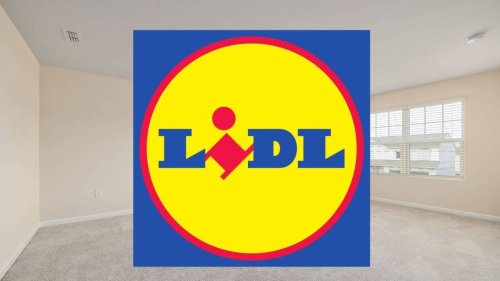 Lidl prend soin de votre moquette avec son BISSELL qui lave, aspire et sèche en 1 passage