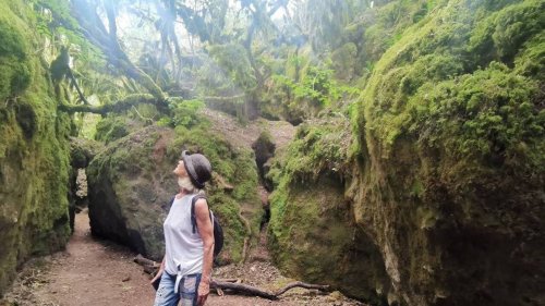 L’Aveyron, contrée verte et si hospitalière