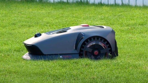 C’est la Rolls-Royce des tondeuses à gazon : le robot tondeuse Dreame est à -149 euros ce samedi