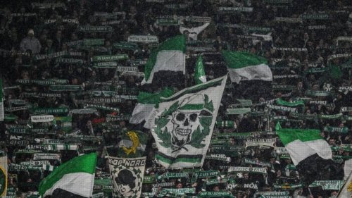 Football. L’AS Saint-Étienne s’oppose à la dissolution de ses groupes de supporters