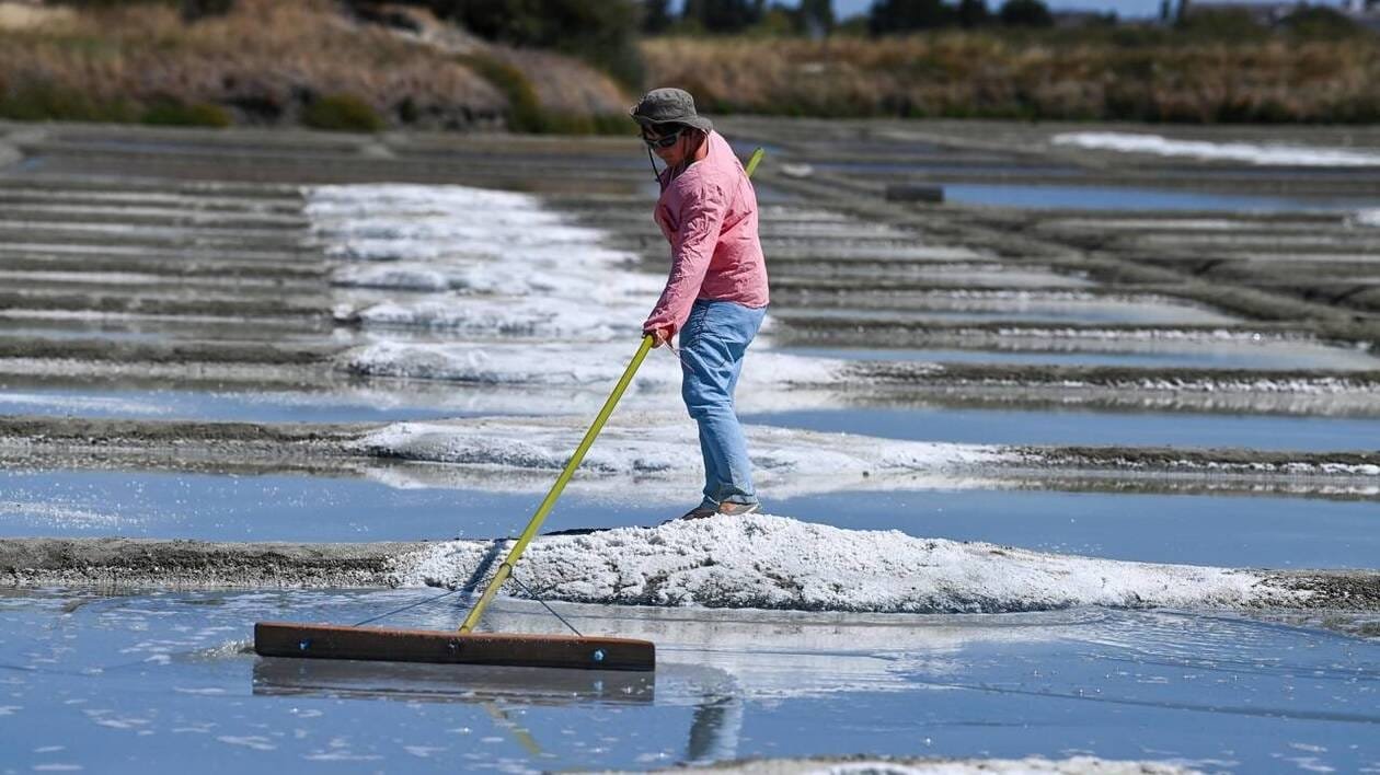 Label rouge, appellations… Les produits sous signe de qualité des Pays de la Loire veulent faire parler d’eux