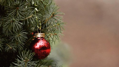 Strasbourg. Le grand sapin de noël transformé en 300 instruments de musique qui vont être distribués