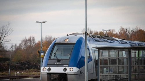 Un homme reçoit trois coups de couteau dans un TER du Bas-Rhin, son pronostic vital engagé