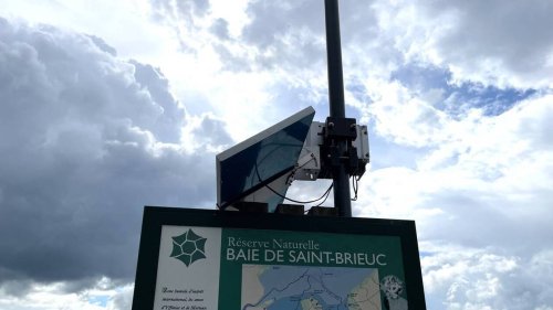 En baie de Saint-Brieuc, des capteurs mesurent le taux de gaz toxique émis par les algues vertes