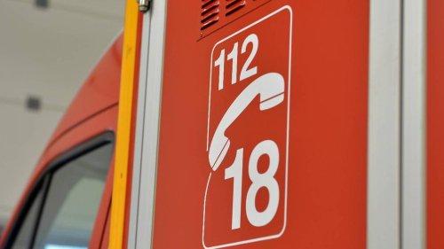 Sète. Une voiture plonge dans un canal, la conductrice et ses trois chiens sauvés