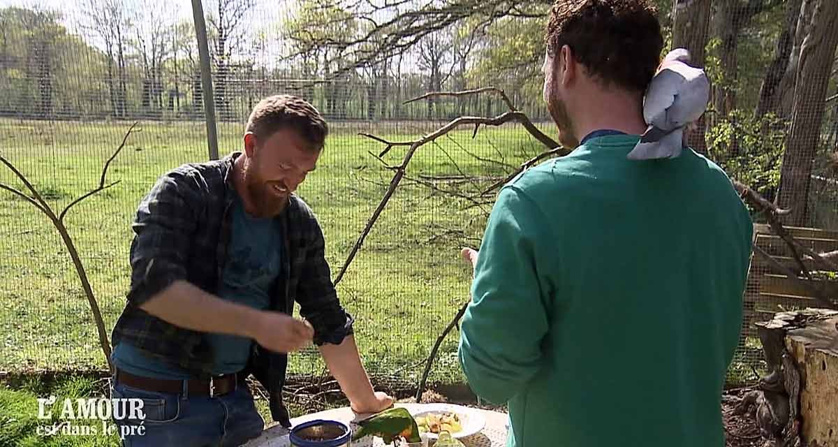 L’amour est dans le pré : Jean-Baptiste choisit Steven, Karine Le Marchand le met en garde