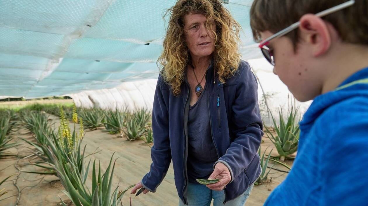 Crocus, Aloe Vera… Dans cette ferme, Anne fait pousser de l’or pas comme les autres