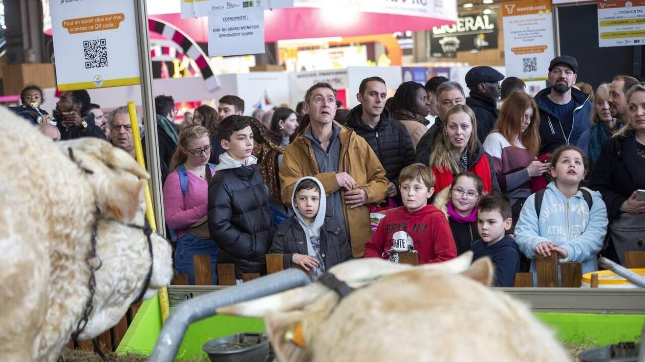 Selfies avec les animaux, familles et bandes de copains… La foule retrouve le salon de l’agriculture