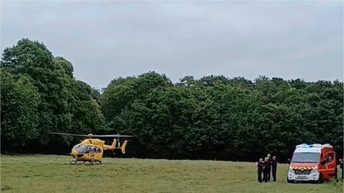 Vendée. Grièvement blessé par un bovin, un agriculteur transporté par hélicoptère Nantes