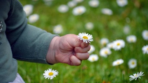 « Elle venait d’avaler quelque chose » : un bébé d’un an meurt sur une aire de jeux en Côte-d’Or