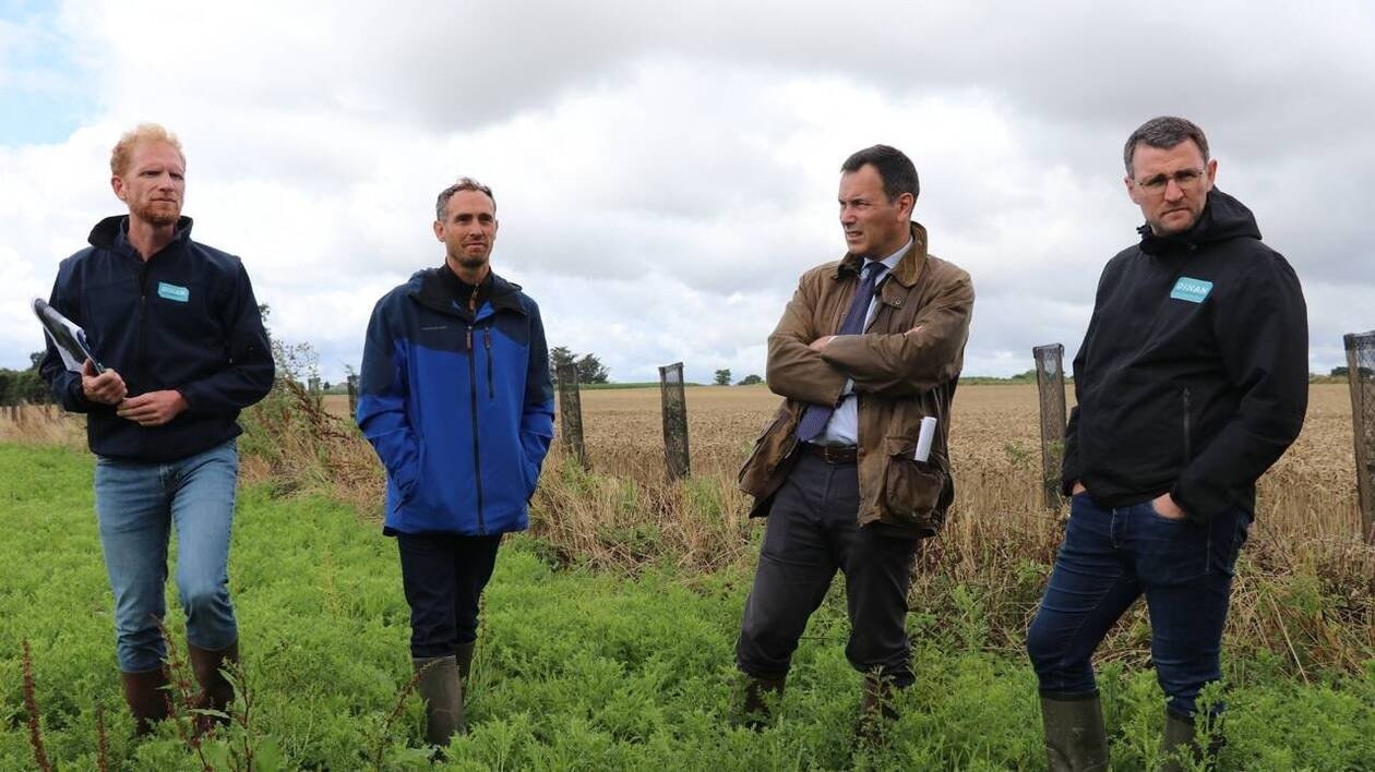 Pour lutter contre les algues vertes, les agriculteurs bretons incités à protéger les cours d’eau