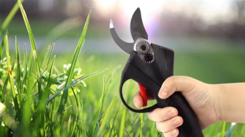 Ce sécateur électrique à moins de 40 euros qui coupe des branches sans se fatiguer fait des heureux