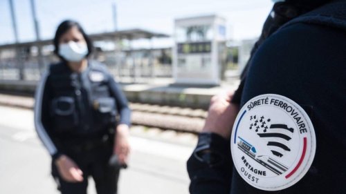 Quatre agents de la police ferroviaire agressés par un chien, l’animal abattu en gare de Rennes
