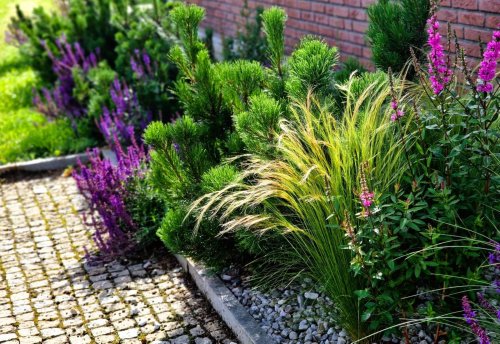 Le secret d’un jardin design : ces 4 graminées spectaculaires à planter dès maintenant pour un été époustouflant !