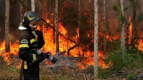 Feux de forêts au Chili : La France va envoyer 80 secouristes « dans les prochaines heures »