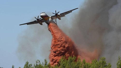 Pyrénées-Orientales : l’incendie désormais « fixé »