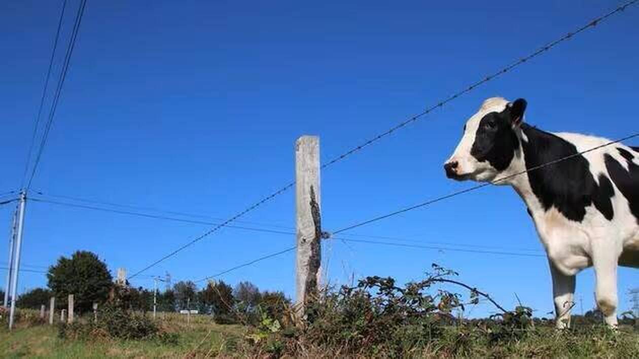 Les agriculteurs du Sud-Manche conviés à une réunion de sensibilisation à l’érosion des sols lundi