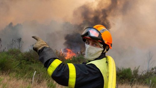 Incendies en Anjou. Quatre-vingts personnes évacuées : « Pour le secteur, c’est du jamais vu. »