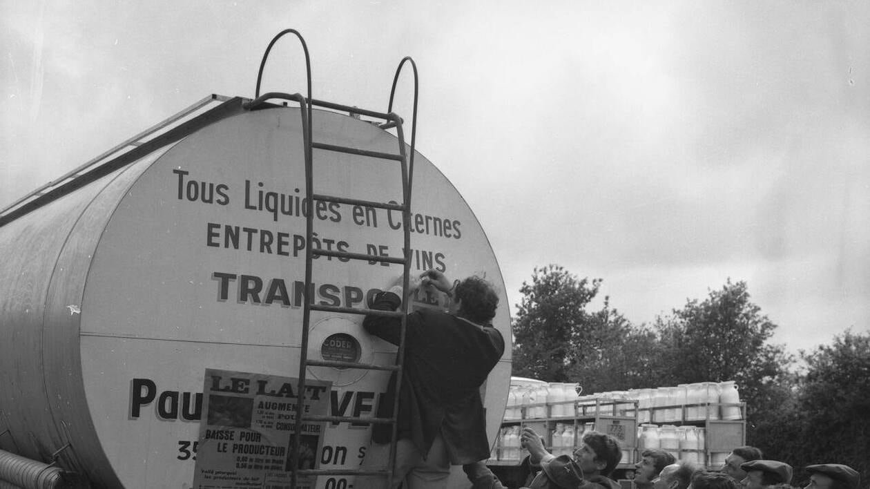 Grève du lait en 1972 en Bretagne : les camions de collecte ne passent plus