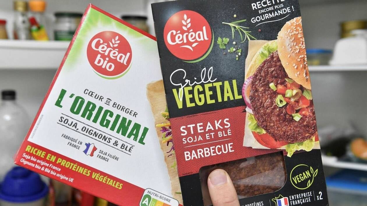 « Steak végétal » : nouvel épisode dans la bataille des noms des alternatives à la viande