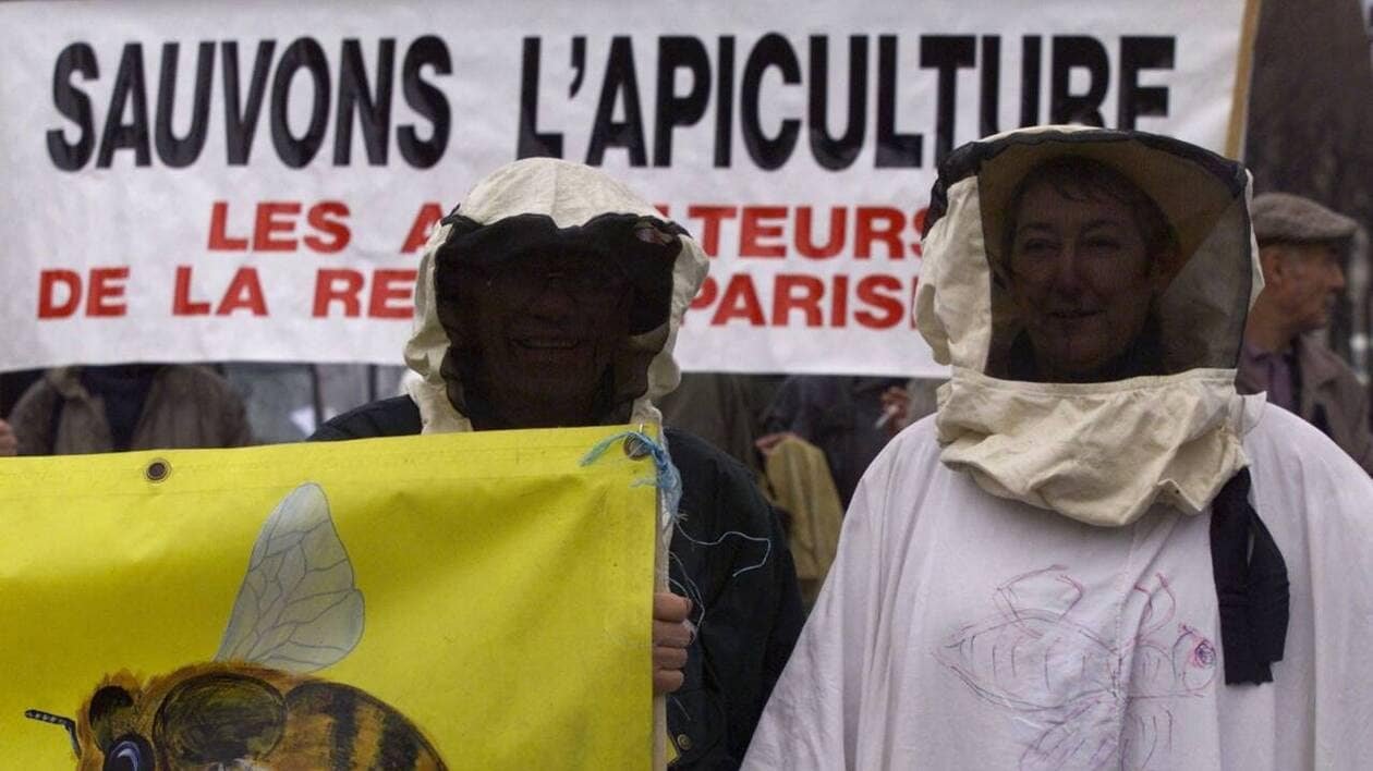 Loi Duplomb. « Un scandale agricole et écologique », disent les Écologistes de Saint-Brieuc