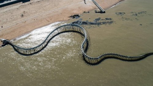 Pourquoi le Serpent d’océan de Saint-Brévin détrône le Louvre sur Google Street View ?