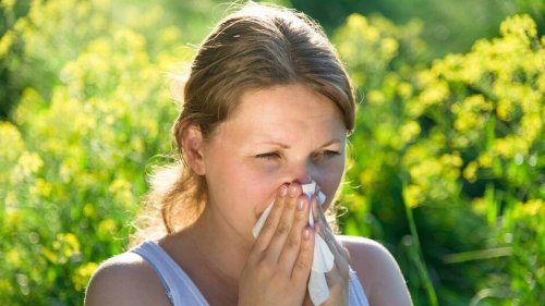 Pollens : un risque maximal d’allergies dans la plupart des départements pour l’Ascension
