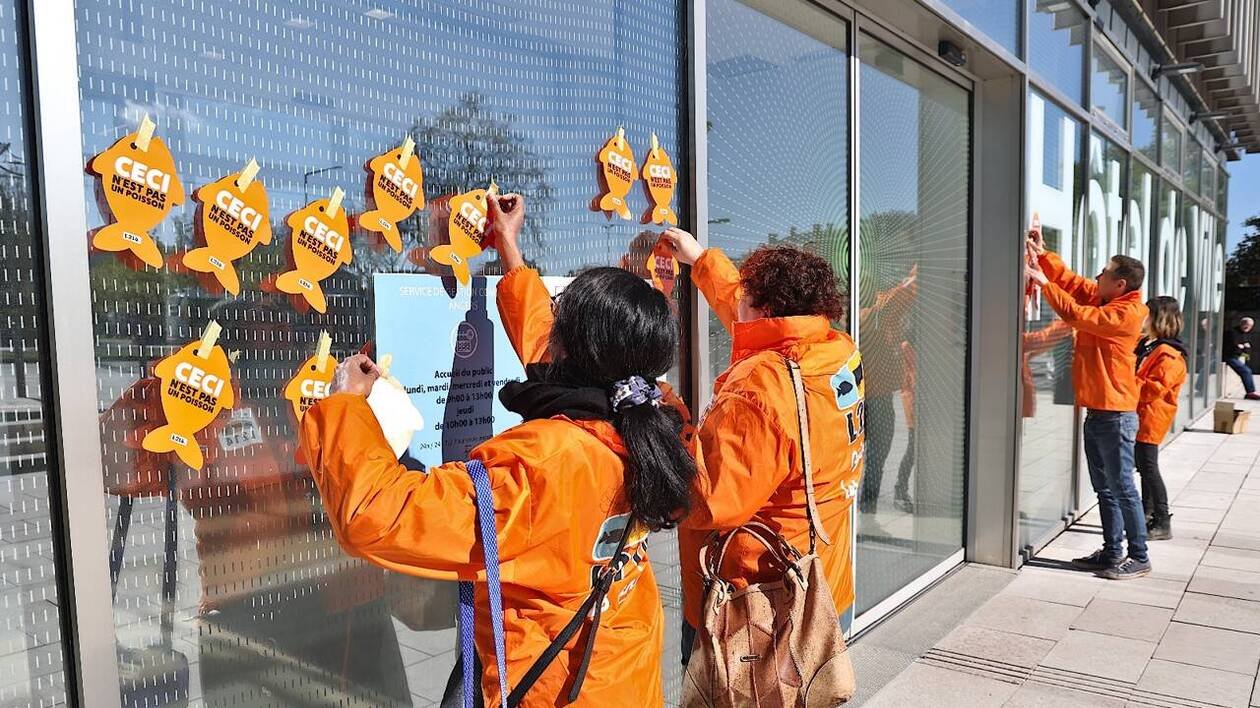 Ils ont collé des poissons d’avril sur la mairie d’Angers : l’action insolite de ces militants