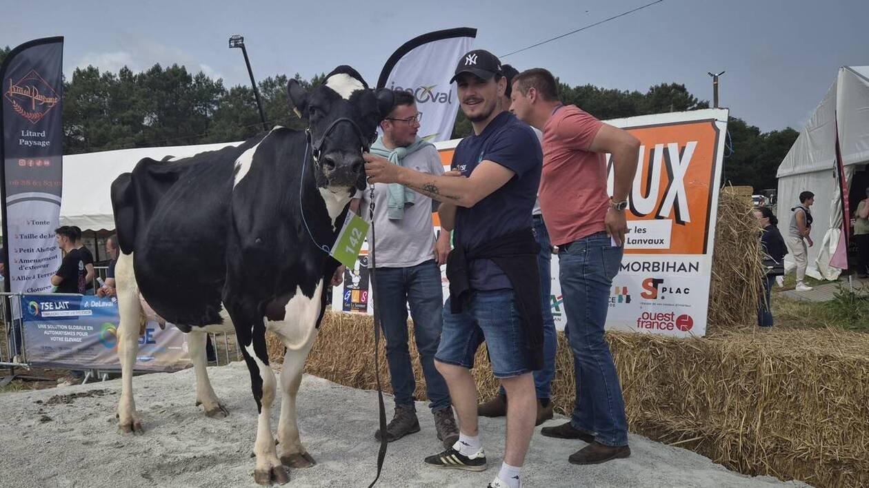 À Grand-Champ, la Foire de Lanvaux tient ses promesses