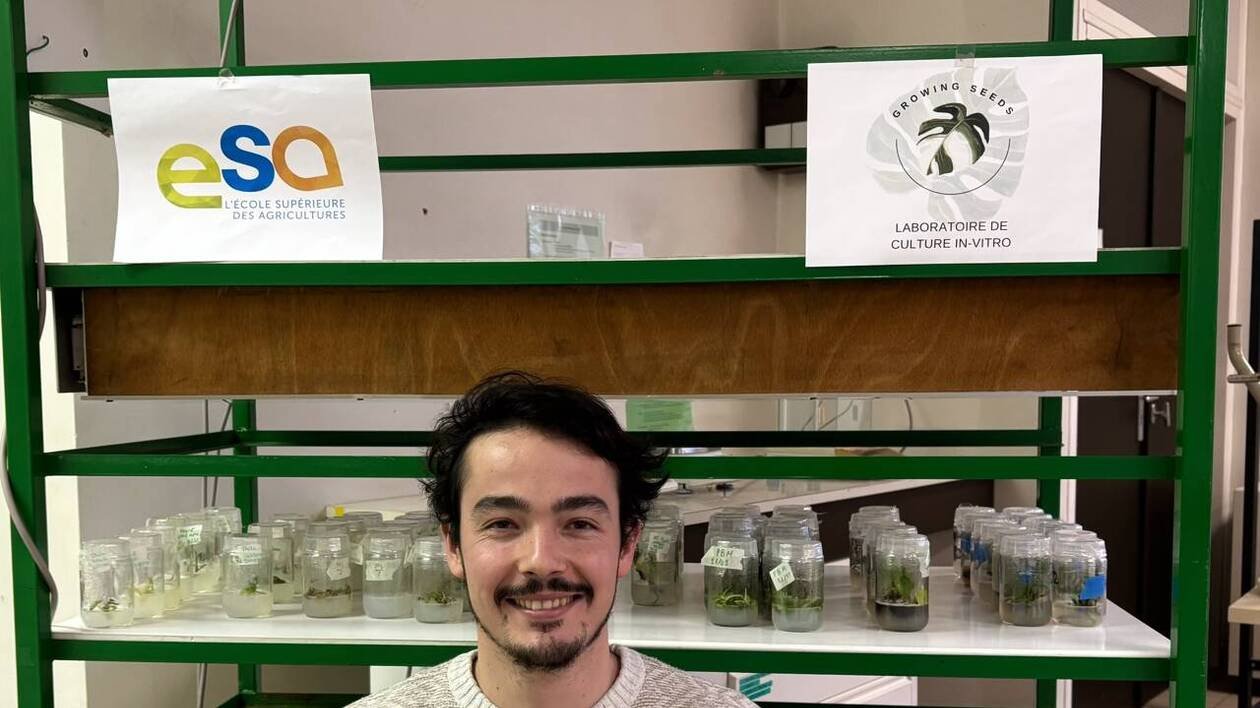 Étudiant à l’École supérieure des agricultures, il réinvente la culture des plantes tropicales