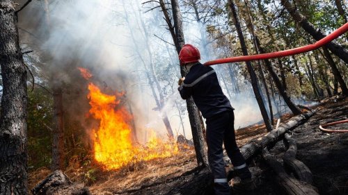 EN IMAGES. Jour 2 : le combat des pompiers contre les incendies dans la forêt de Brocéliande