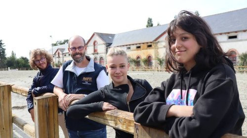 À Lamballe, ces jeunes se forment pour travailler avec les chevaux
