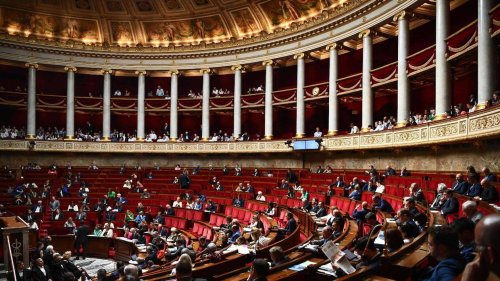 Recours au 49.3 sur les finances publiques : la gauche dépose une motion de censure