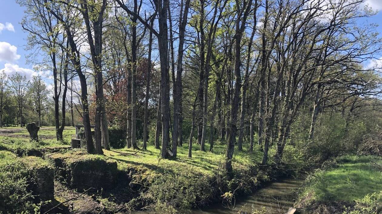 « L’eau ne partait plus. Le champ était lessivé » : une négligence qui coûte à la commune