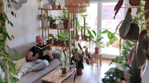 Il cohabite avec 150 plantes dans son appartement de 45 m²... et ne compte pas s’arrêter là