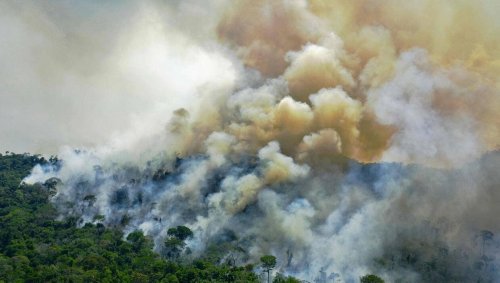 ENTRETIEN. Pourquoi l’Amazonie émet plus de CO2 qu’elle n’en absorbe ?