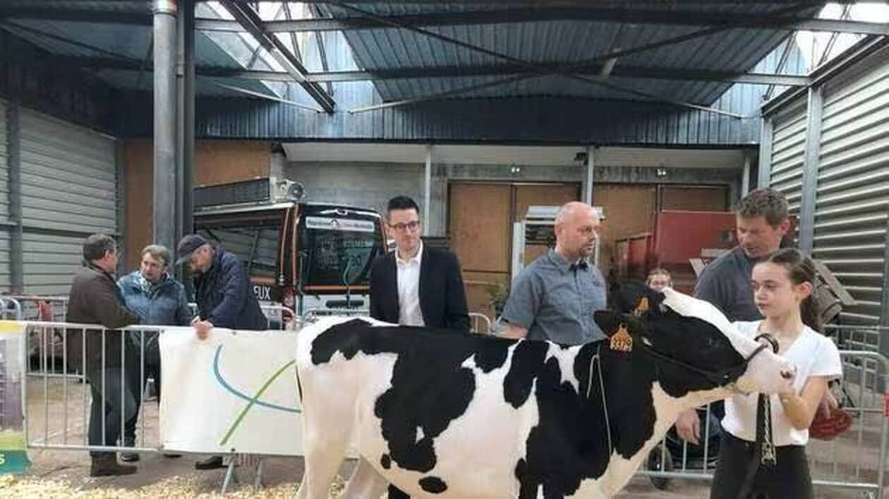« Un rendez-vous agricole incontournable » : les concours bovins font leur retour à Lisieux