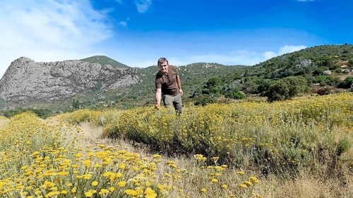 Un lanceur d’alerte agricole assassiné en Corse