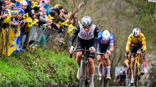 Cyclisme. Tour des Flandres : Pogacar s’offre un quatrième Monument, après une démonstration