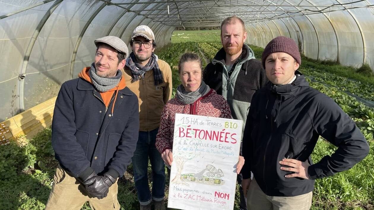 Terres agricoles ou béton : près de Nantes, un choix politique sous pression à l’approche des municipales